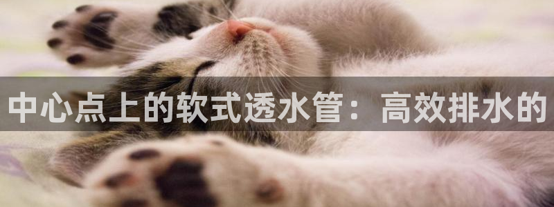 天辰娱乐论坛