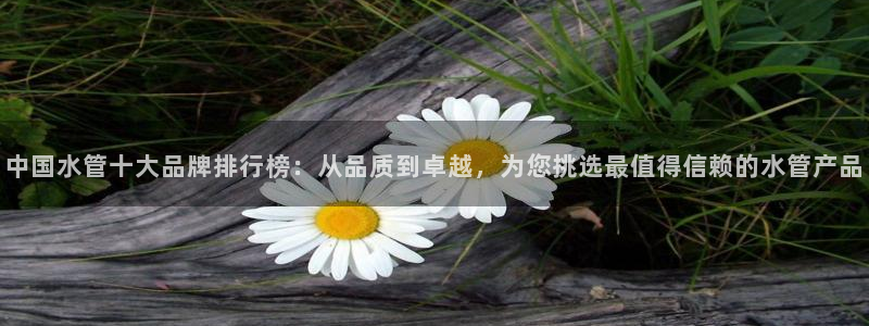 天辰娱乐传媒