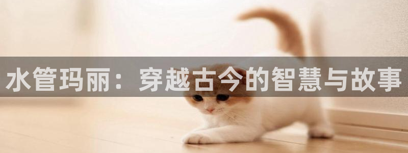 天辰娱乐挂机