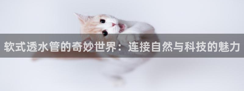 天辰娱乐39596
