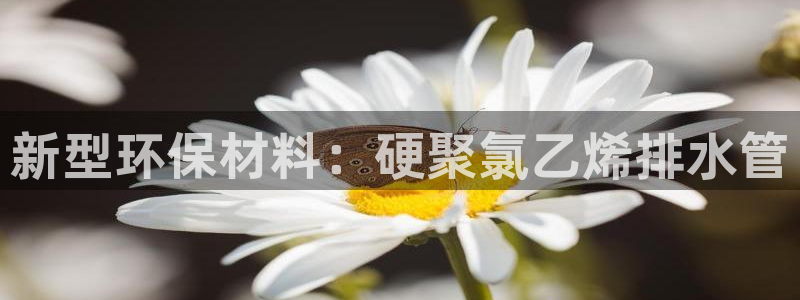 天辰娱乐481928