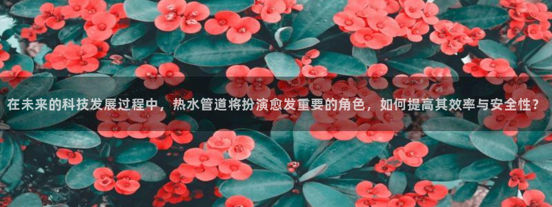 天辰娱乐675138