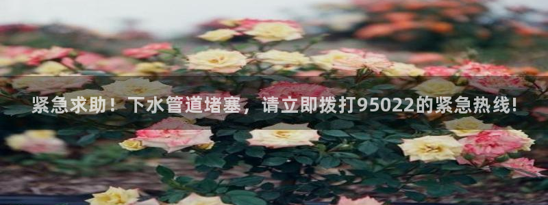 天辰娱乐22650