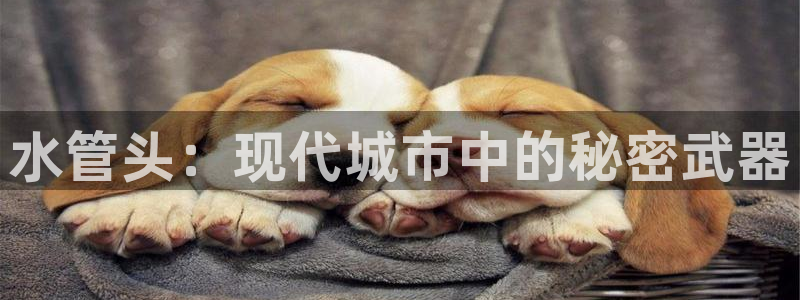 天辰娱乐连接
