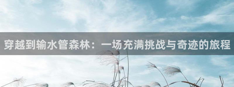 天辰娱乐75775