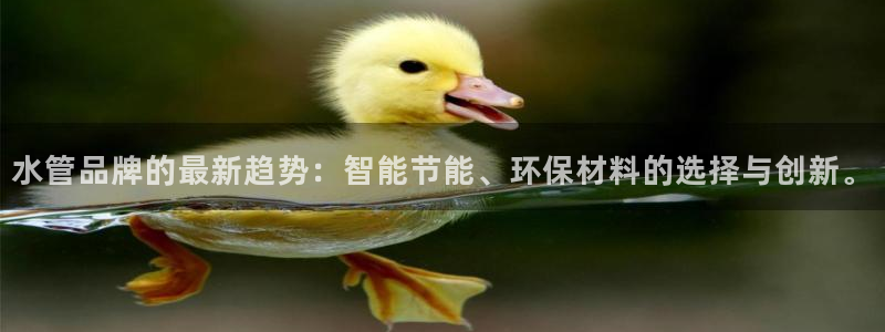 北京天辰娱乐