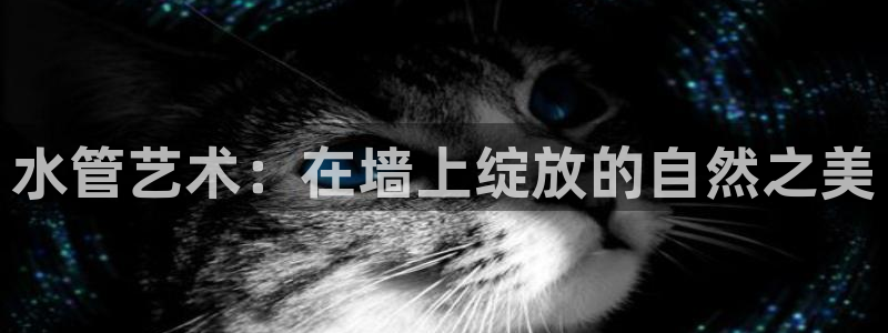 天辰娱乐元宝