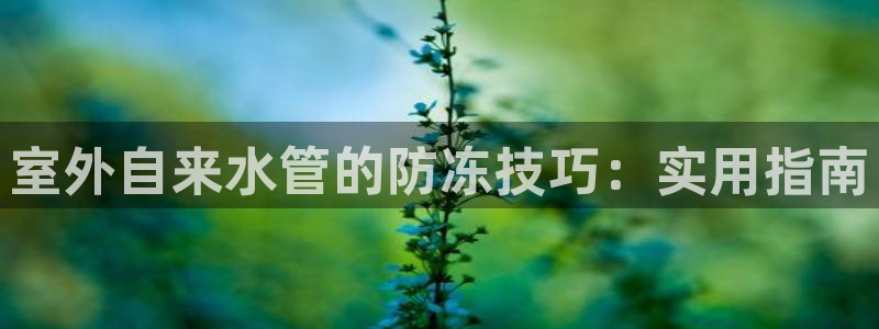 天辰娱乐十分彩