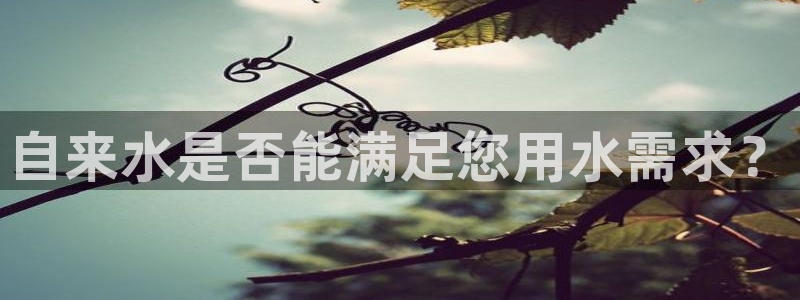 天辰娱乐51137
