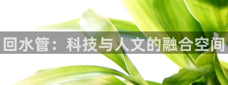 辰天娱乐