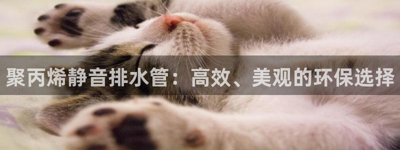 天辰娱乐电话