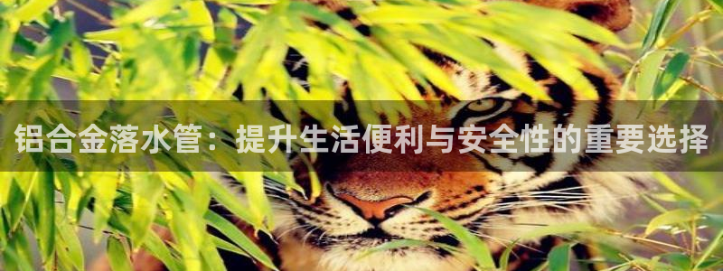 天辰娱乐官网平台入口