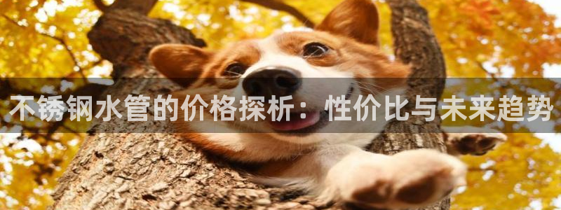 天辰娱乐公司