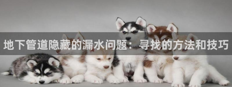 天辰娱乐