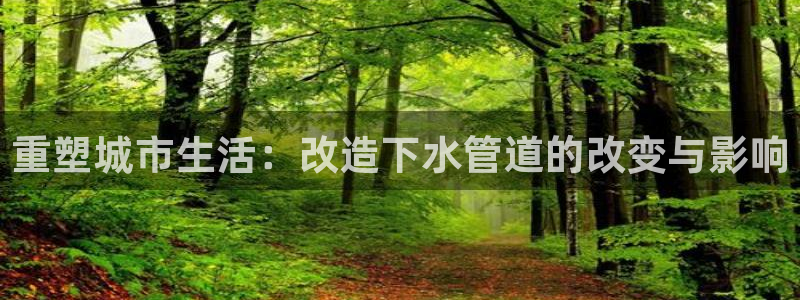 天辰娱乐十分彩