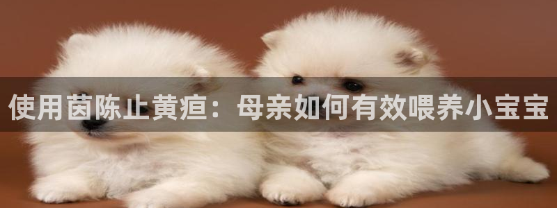 天辰娱乐软件