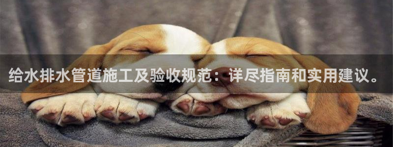 天辰娱乐平台登录账号