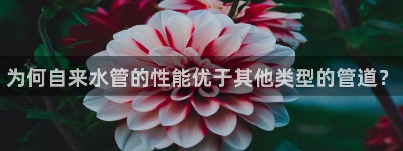 天辰娱乐股票