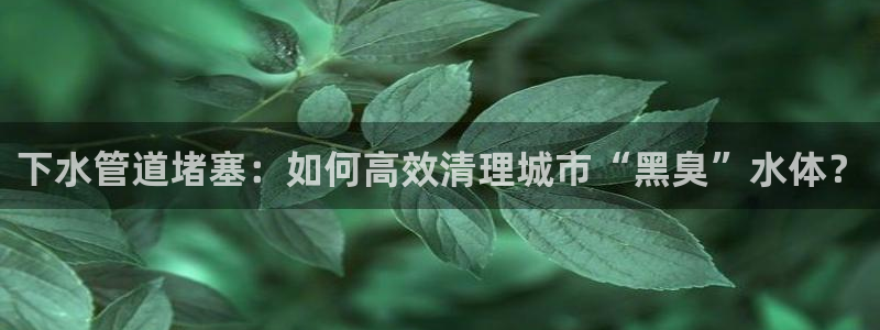 天辰娱乐十分彩