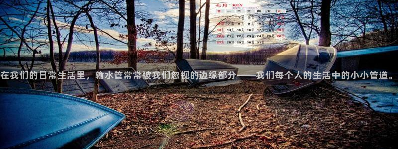 天辰娱乐1980