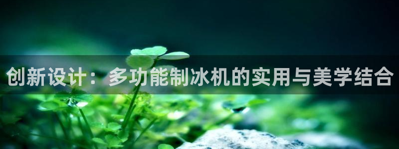 天辰娱乐61116