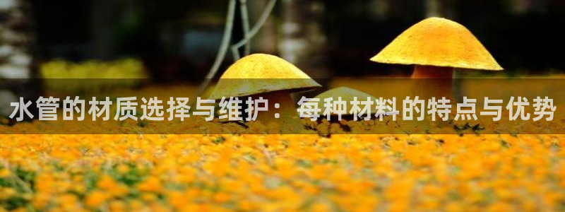 天辰娱乐国际