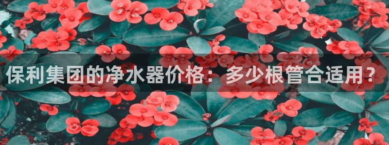 nba天辰娱乐