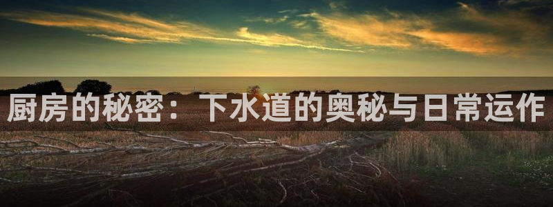 天辰娱乐登录网址