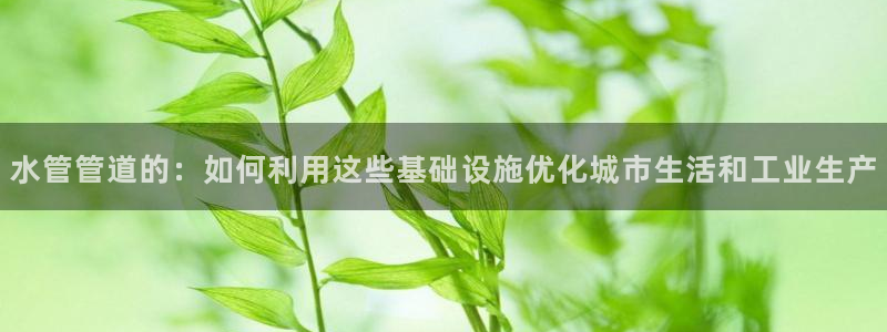 天辰娱乐51137