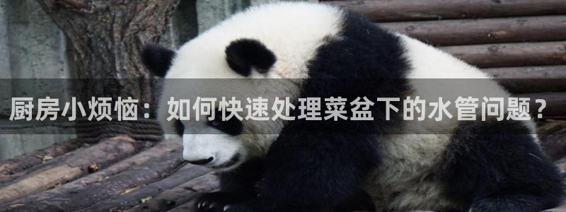 天辰娱乐53551
