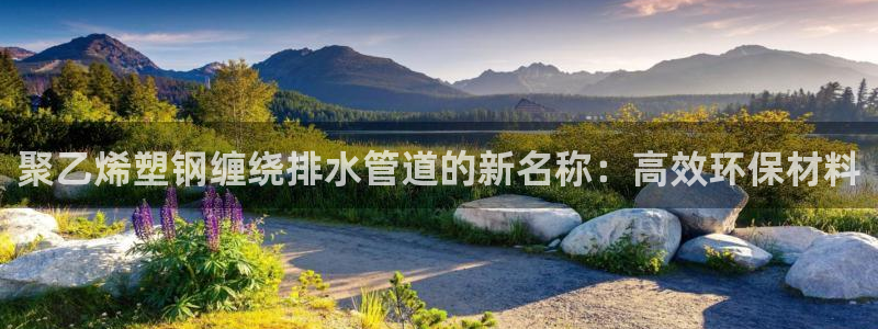 天辰娱乐APP下载
