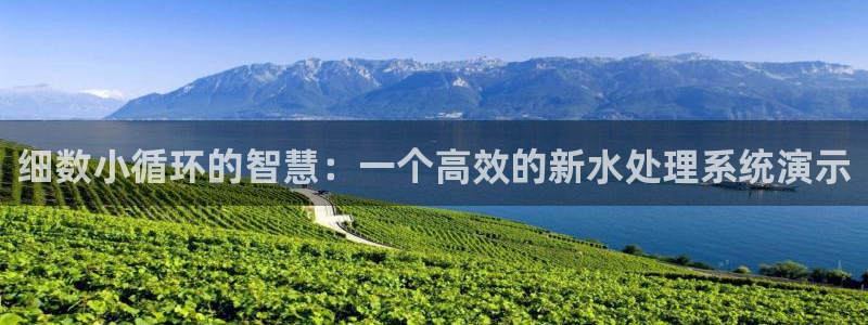 广东天辰娱乐