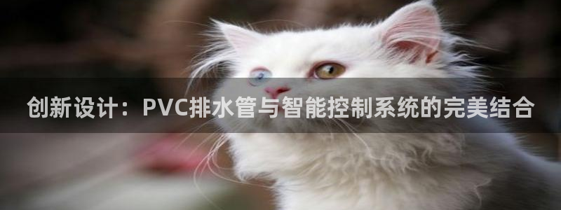 天辰娱乐 39974