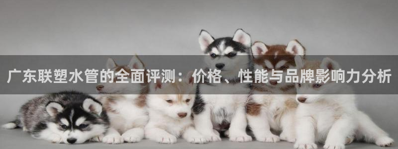 天辰娱乐481928