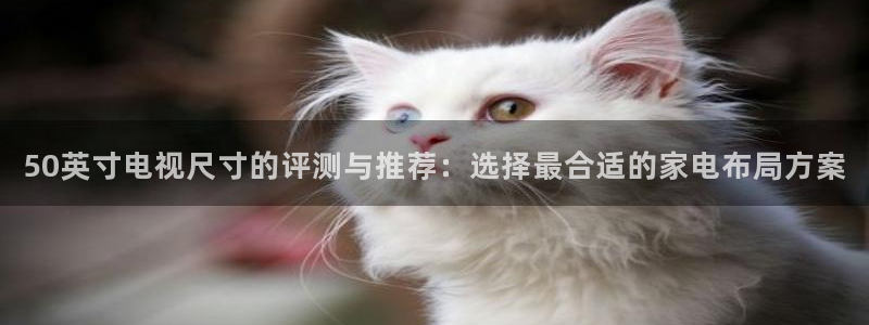 天辰线上娱乐