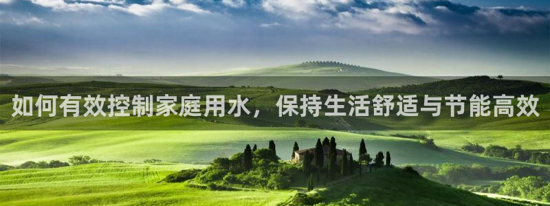 辰天娱乐用品