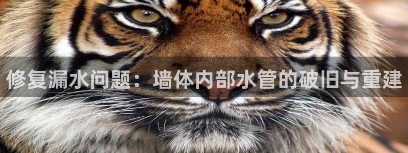 天辰娱乐链接