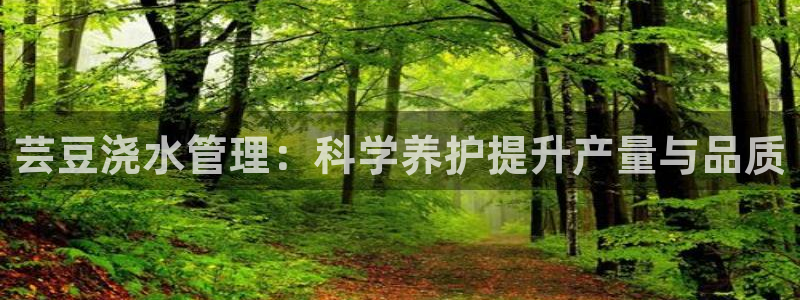 天辰娱乐电话