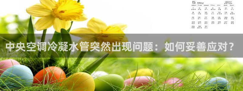 天辰宝宝娱乐