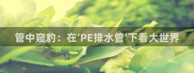 娱乐ktv天辰