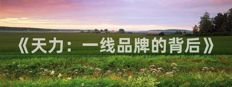 天辰娱乐官方登录入口