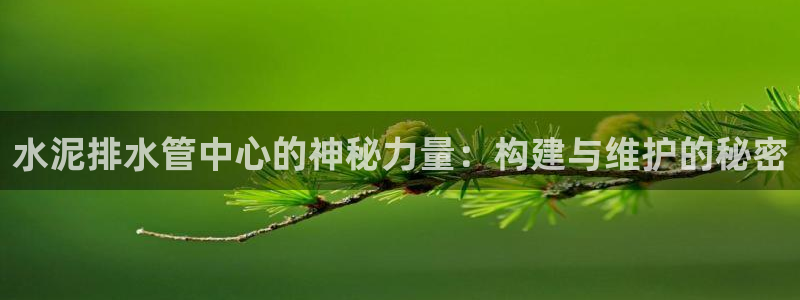 天辰娱乐公司