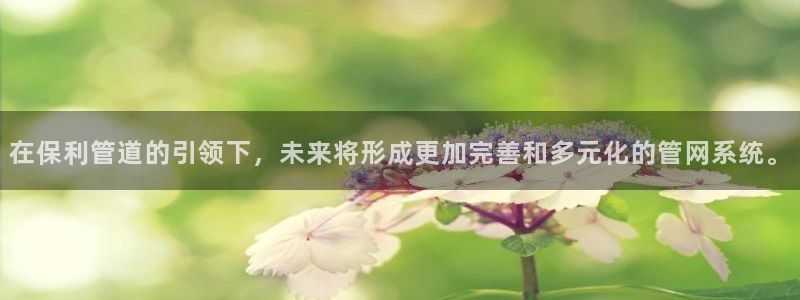 天辰娱乐ttf
