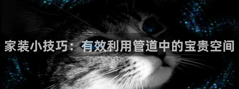 天辰娱乐海洋