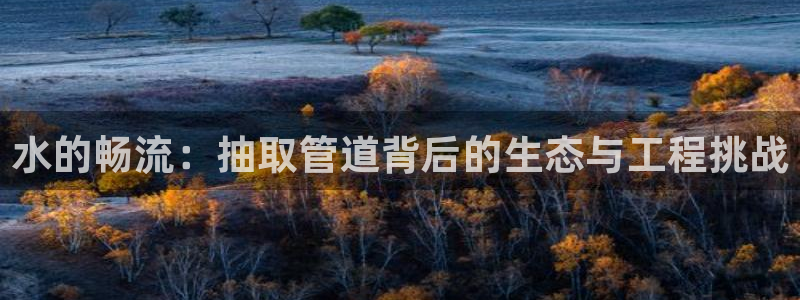 辰天娱乐用品