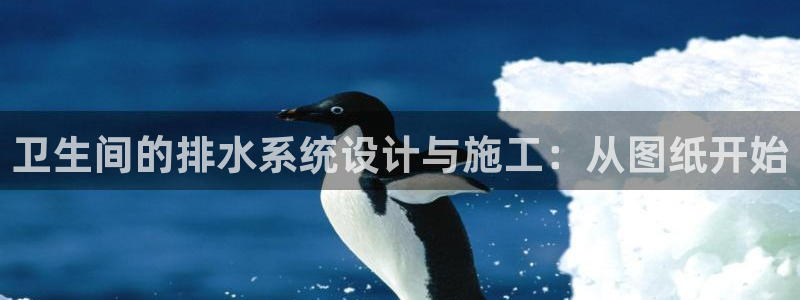 天辰宝宝娱乐