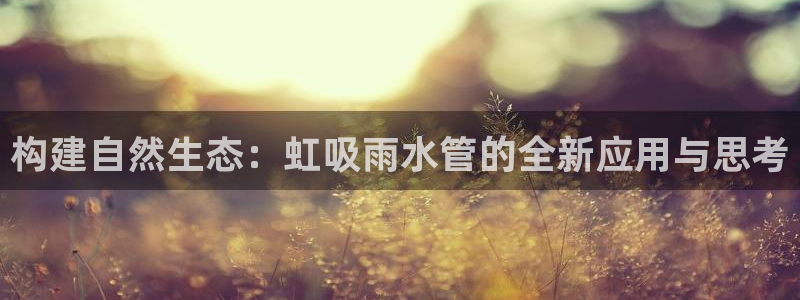 天辰娱乐怎么样