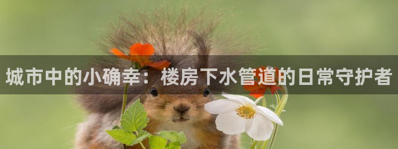 天辰娱乐天辰宝