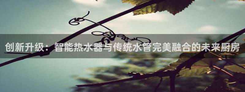 天辰娱乐_675138