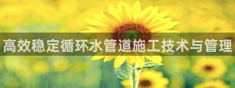天辰娱乐解封
